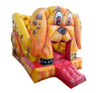 Mini Tobogã Cachorro - Acompanha Motor 680W Bivolt